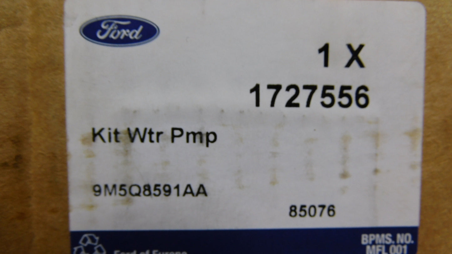 Wasserpumpe 1727556 Ford Galaxy Kuga Mondeo Focus Peugeot Citroen Fiat
