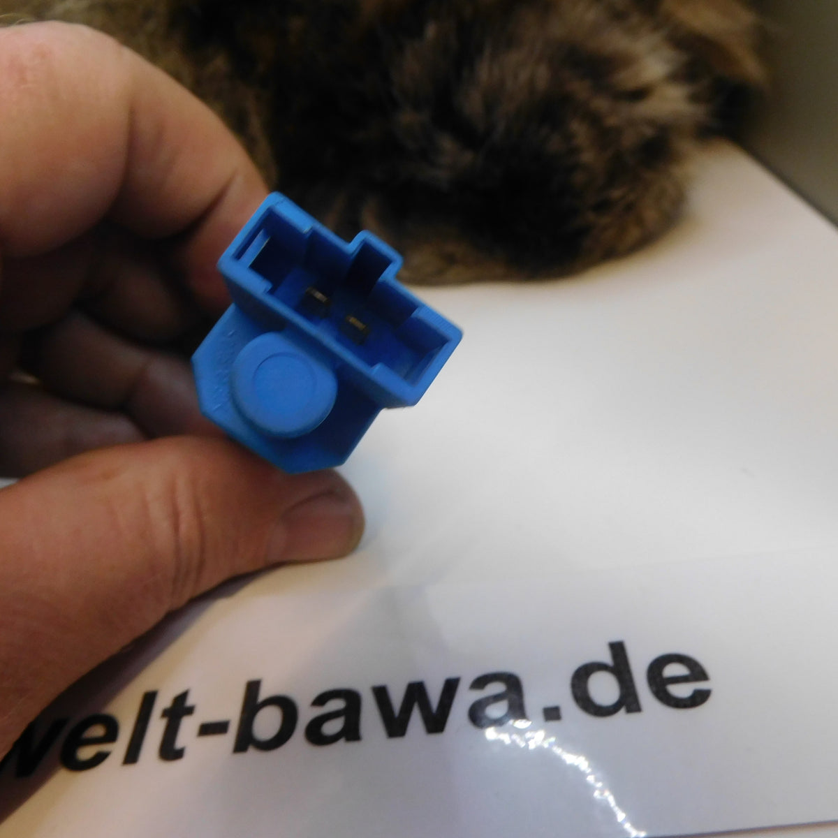 Bremslichtschalter Schalter 1H0927189C VW Passat Golf T4 Seat Toledo