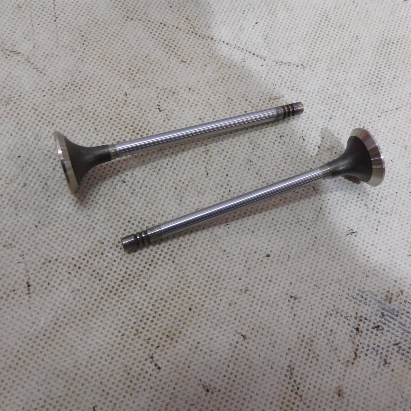 Auslassventil Ventil Satz 2 Stück 552160B Corteco Citroen Peugeot