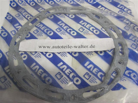 Nabendichtung Dichtung Differential 42118478 IVECO Trakker Eurotrakker