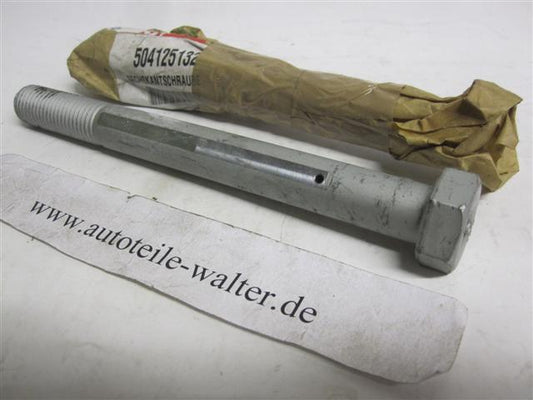 Fahrerhaus Stabilisator Schraube Außensechskant M20 200mm 504125132 IVECO Stralis