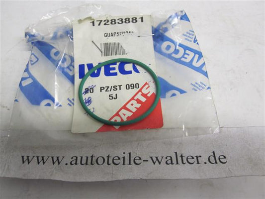 O Ring Runddichtring Ansaugkrümmerdichtung 17283881 IVECO
