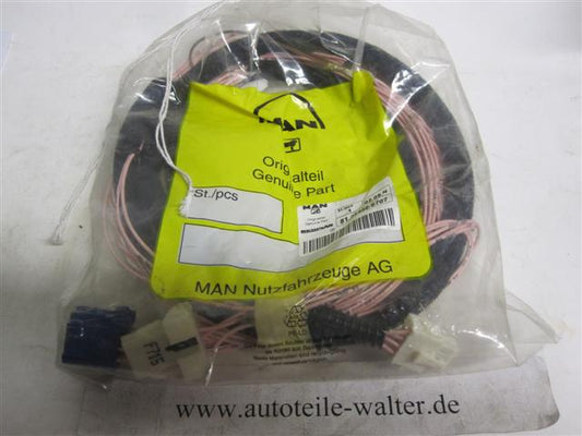 Kabelstrang Vorbereitung Kabine 81254566707 MAN TGX D20 Euro 6